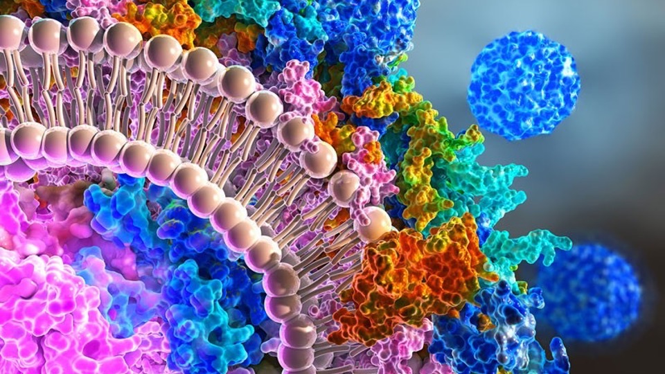 Neonatal Research